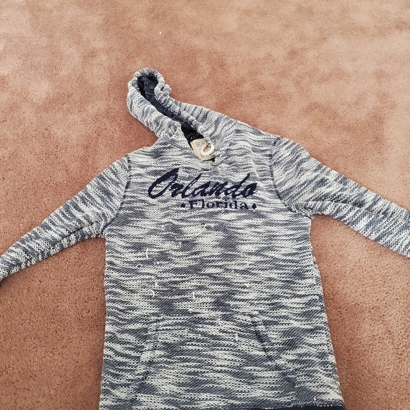 Orlando Florida hoodie - Picture 1 of 2